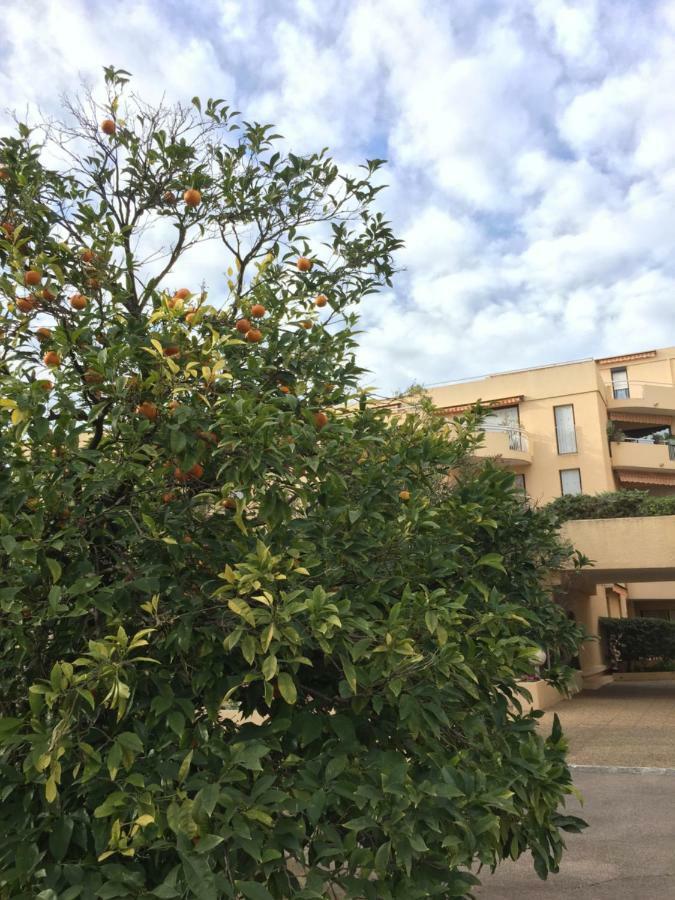 Les Orangers Saint-Raphael (Var) Exterior photo
